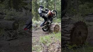 kmirabet38 strikes again This time on our Honda Transalp 750 [upl. by Crofoot]