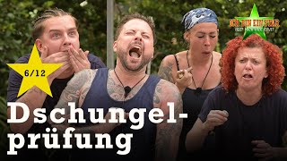 WÜRGALARM bei der Dschungelprüfung quotWürg amp Travelquot ⭐️  Dschungelcamp 2024 [upl. by Nalda381]