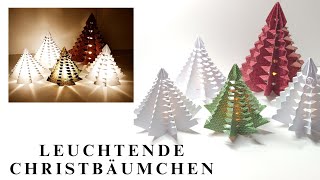 315 Video 🎄Leuchtende Christbäumchen🎄  Weihnachten  Simply Craft  Anleitung  Tutorial  LED🎄 [upl. by Halas]