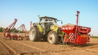 Claas Arion 640 mais zaaien 2014  Steyaert uit Wortegem [upl. by Annovahs995]