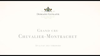 Analyse des Terroirs  ChevalierMontrachet [upl. by Anahoj]