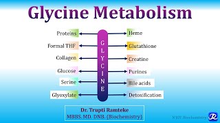 15 Glycine Metabolism  Amino Acid Metabolism Biochemistry  NJOY Biochemistry [upl. by Anselma351]