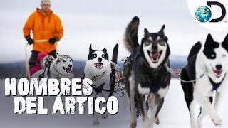 ¡La mayor competencia de trineos con perros  Hombres del Ártico l Discovery Latinoamérica [upl. by Aitas]