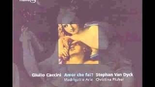 CHRISTINA PLUHAR CACCINI AMOR CHE FAI [upl. by Annez]