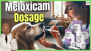 🔴 MELOXICAM FOR DOGS DOSAGE PRICE AND USES 🔴 [upl. by Penni273]