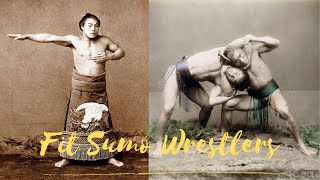 Historical Sumo wrestlers were NOT fat 相撲 [upl. by Auburn]