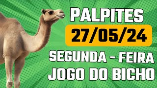 Palpites para Ganhar Na Semana 270524 ATÉ 020624 JOGO DO BICHO  Todas Loterias [upl. by Priestley368]