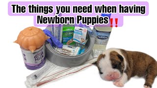 Everything you need for newborn puppies‼️ Ultimate Whelping care kit‼️ [upl. by Anayi]