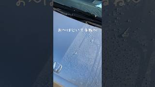 古いポリマーコートを発見したので塗って検証します。shorts 洗車 ワックス carwash [upl. by Sears]