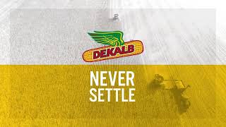 DEKALB® brand Always innovate Never settle 30 [upl. by Buck622]