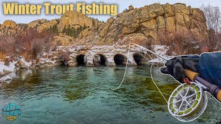 Fly Fishing Harsh Conditions For Trout First Fish of 2024 [upl. by Attenwahs]