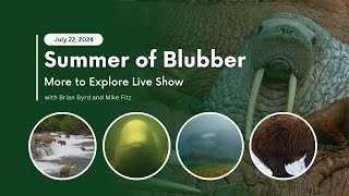 Summer of Blubber  More to Explore Live Show [upl. by Ibob764]