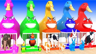 5 Giant Duck Cartoon TigerCowDinosaurGorillaElephant Wild Animals Choose The Right Mystery Door [upl. by Celene316]