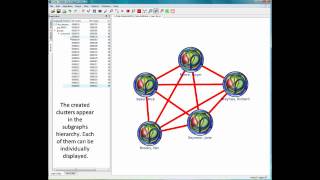 Tulip Software  Meta Graph management [upl. by Ennaeerb574]