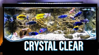 Crystal Clear Aquarium Water [upl. by Mireille]