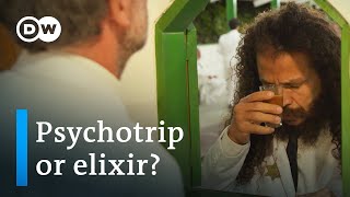 Ayahuasca boom in Brazil  Remedy or risk  DW Documentary [upl. by Ecnar]