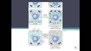 Parenchymal Stromal  Vascular Dystrophiesamp Mixed DystophiesCalcification pathology [upl. by Sherie]