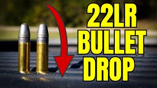 22LR Bullet Drop  Demonstrated and Explained [upl. by Holloway721]