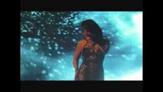 Haifa Wehbe  wawa  w akher hammi  NewYearConcert 2012wmv [upl. by Pinckney574]