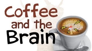 How Coffee Affects Your Brain [upl. by Sterner457]