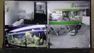 Motion Detection amp Email Alert Setup [upl. by Ellga]