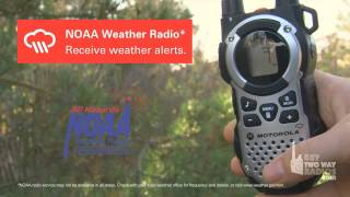 Motorola Talkabout MT350  MT352 Two Way Radio [upl. by Kutchins]