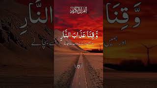 duastatustilwatequran subscribemychannel likeandsubscribe foryoupage fypシ゚viral pleasesupport [upl. by Eenor]