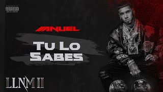 Anuel AA  Tu Lo Sabes Visualizer Oficial  LLNM2 [upl. by Garfield240]