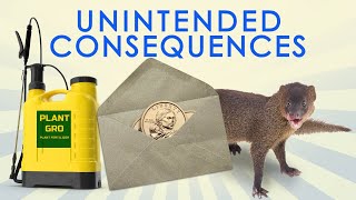 Great Moments in Unintended Consequences Coin Mail Fertilizer Ban and Hawaiian Mongoose Vol 14 [upl. by Sebastien]