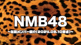 NMB48 メンバー紹介VTR20240810時点 [upl. by Nevad81]