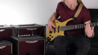 Ashdown AAA EVO 60 Bass Combo Demo  Dave Hollingworth [upl. by Llerahs]