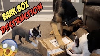 BarkBox TOTAL TOY DESTRUCTION  April BarkBox 2018 [upl. by Aerdnuahs]