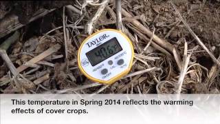 Taking Soil Temperature [upl. by Xavier284]