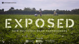 Exposed How pesticides harm farmworkers [upl. by Massingill]