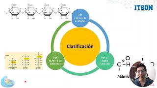 Introducción a los carbohidratos [upl. by Patrice]