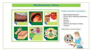 Blastocystis hominis [upl. by Penn419]