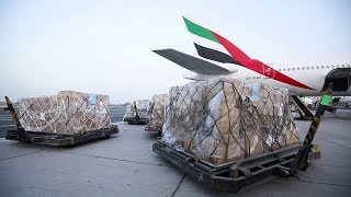 Emirates SkyCargo transports flood relief cargo for Kerala  Emirates SkyCargo [upl. by Dan]