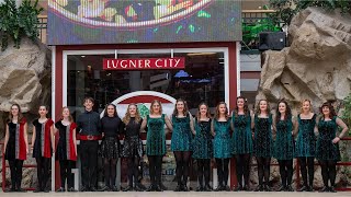 StPatricks Day 2023 Lugner City  Shamrock Dance Company Vienna [upl. by Lecroy]