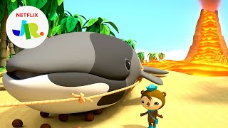 The Whaley Big Lava Rescue 🐋🌋 Octonauts amp the Ring of Fire  Netflix Jr [upl. by Gone]