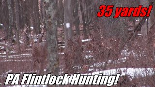 PA Flintlock Deer Hunting  Big Buck at 35 Yards [upl. by Eciralc727]