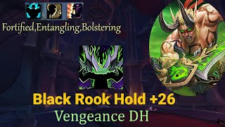 Demon Hunter Vengeance  Black Rook Hold 26  POV  Dragonflight Season 3 102 [upl. by Mccutcheon]