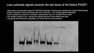 Native PAGE Polyacrylamide Gel Electrophoresis Troubleshooting [upl. by Atisor]