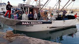 Sortie dun bateaux de pêche du port de Mostaganem [upl. by Enyrhtak]