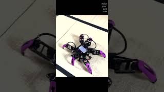 DIY Hexapod Robot The SECOND Replica shorts [upl. by Onirefez]