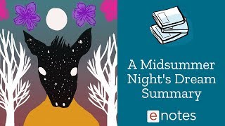 A Midsummer Nights Dream  Summary [upl. by Toole]