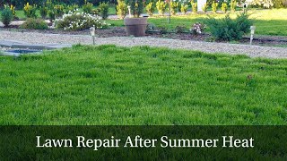 How We Revived Our Lawn After a Hot Summer  StepbyStep Grass Reseeding [upl. by Teplica250]