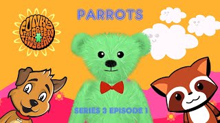 Funky the Green Teddy Bear – Parrots Preschool Fun for Everyone Series 3 Episode 1 [upl. by Carlita]