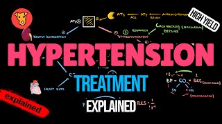 ANTIHYPERTENSIVE DRUGS Mechanism of action Side effects Pharmacology [upl. by Adnahcal46]