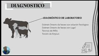 video 3 parte 2 coccidiosis en Becerros MV Juan Uzcátegui UCLA Venezuela [upl. by Bower]