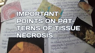 Important points on Patterns of tissue necrosisCell injuryCell deathPathology [upl. by Anauqaj546]